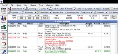 patient payment automatically recorded in Practice-Web